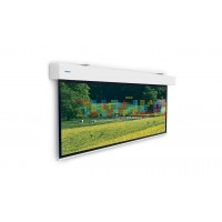 Проекционный экран с электроприводом Projecta Elpro Large Electrol (10100338) 316x500 см