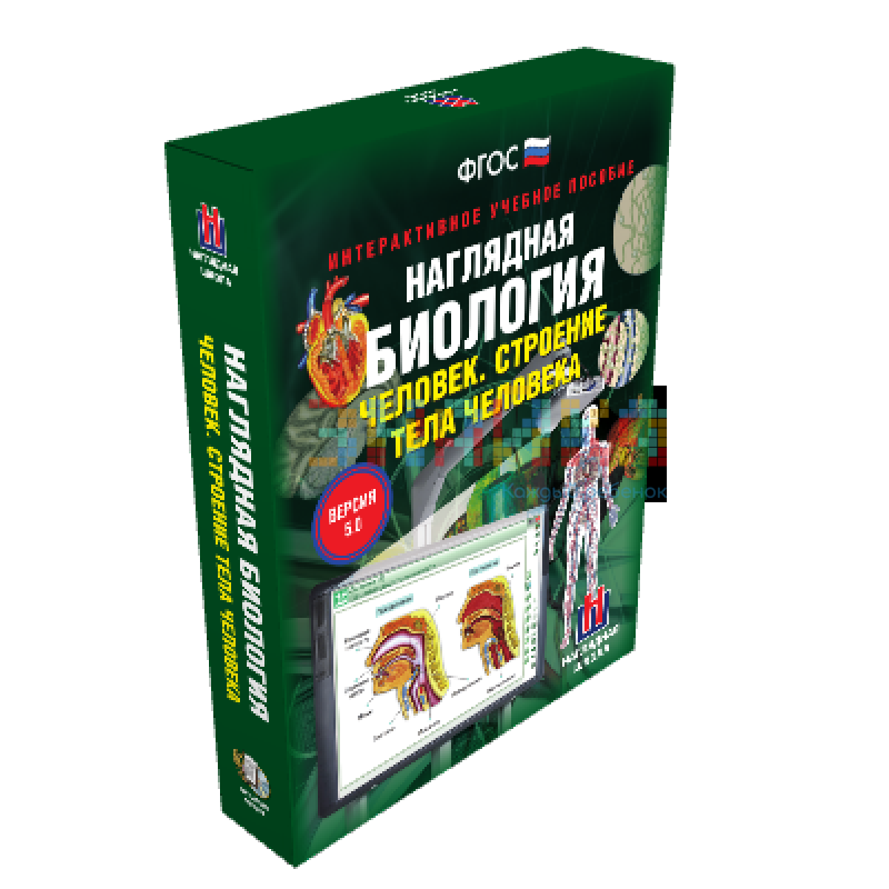 Наглядная биология. 8 - 9 классы. Человек. Строение тела человека